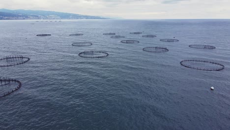 piscifactoría de acuicultura en el mar para suministrar productos pesqueros de cría para el mercado