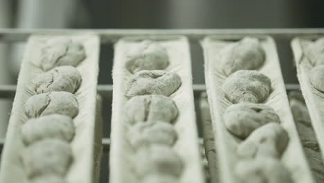 proofing, proving - bread dough resting on a white cloth at loader for baking at deck oven in the bakery