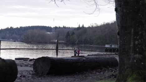 various shots at barnet marine park in bc, canada on a nice winter day