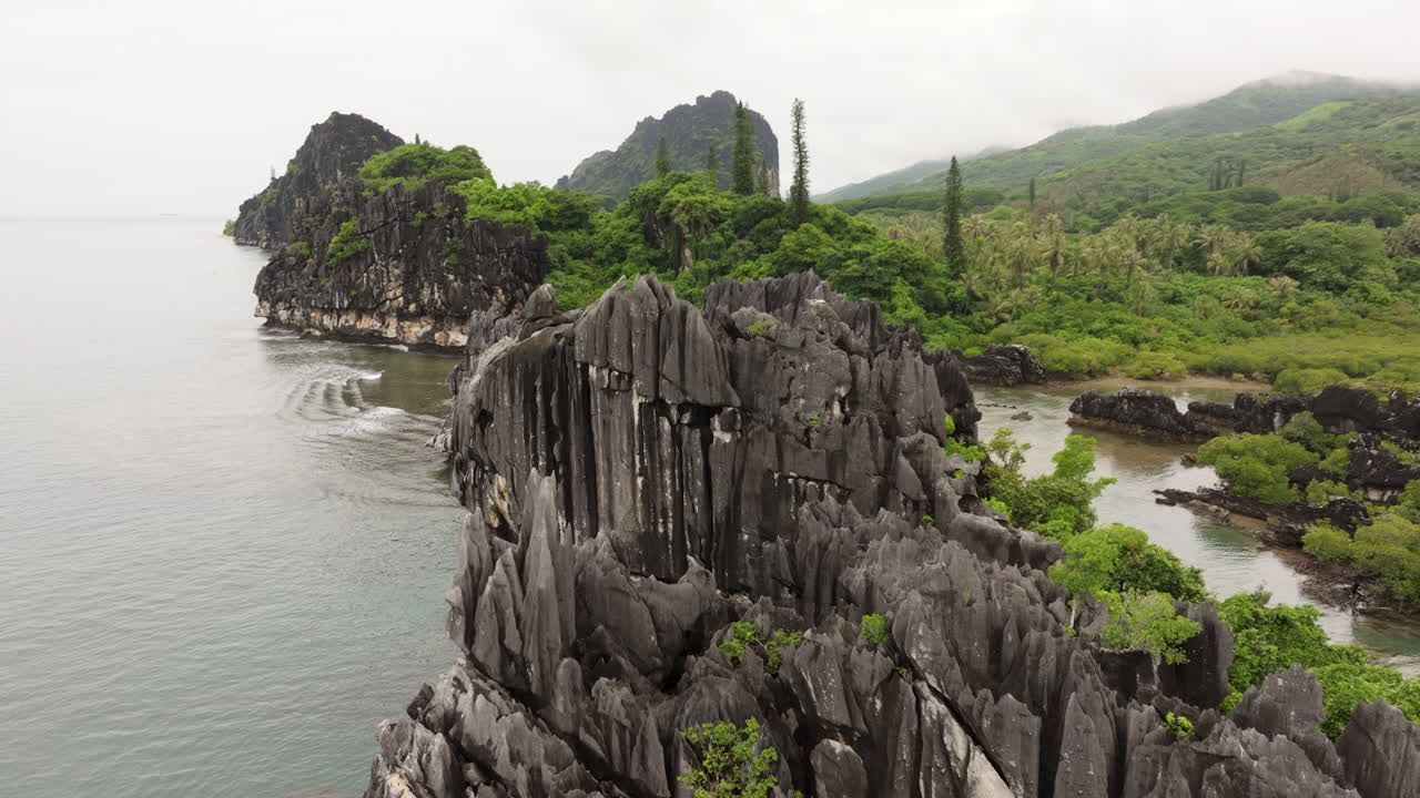 Coastal Rock Formations and Lush Vegetation
