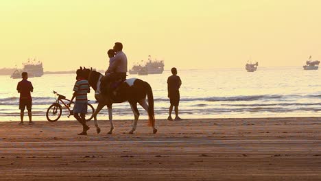 a father and son enjoying horseback riding on beach during sunset time video background