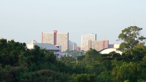 Paisaje-Urbano-Con-árboles-Verdes-En-Primer-Plano