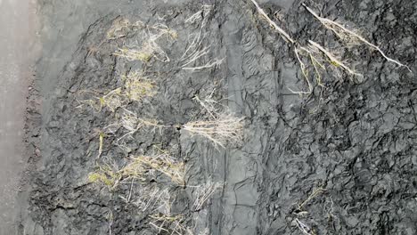 Top-down-drone-shot-providing-a-unique-perspective-of-the-new-lava-landscape,-5-years-after-the-eruption-of-Kilauea's-Fissure-8-eruption-in-2018