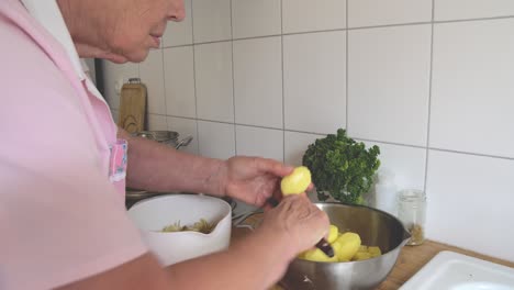 Senior-lady-at-home-cutting-and-peeling-potatoes