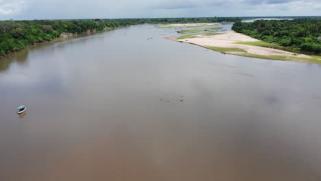 aerial drone shot of a river in selous, tanzania, tilting the camera down pointing to a group of hippopotamus