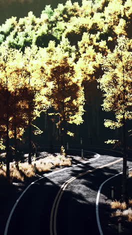 autumn forest road