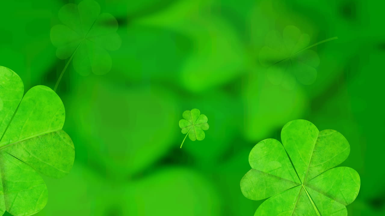 Animazione di foglie di trifoglio che cadono girando su sfondo verde.