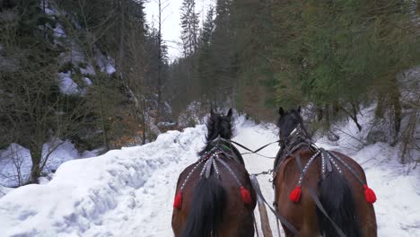 two horses pull a sleigh in a snowy valley