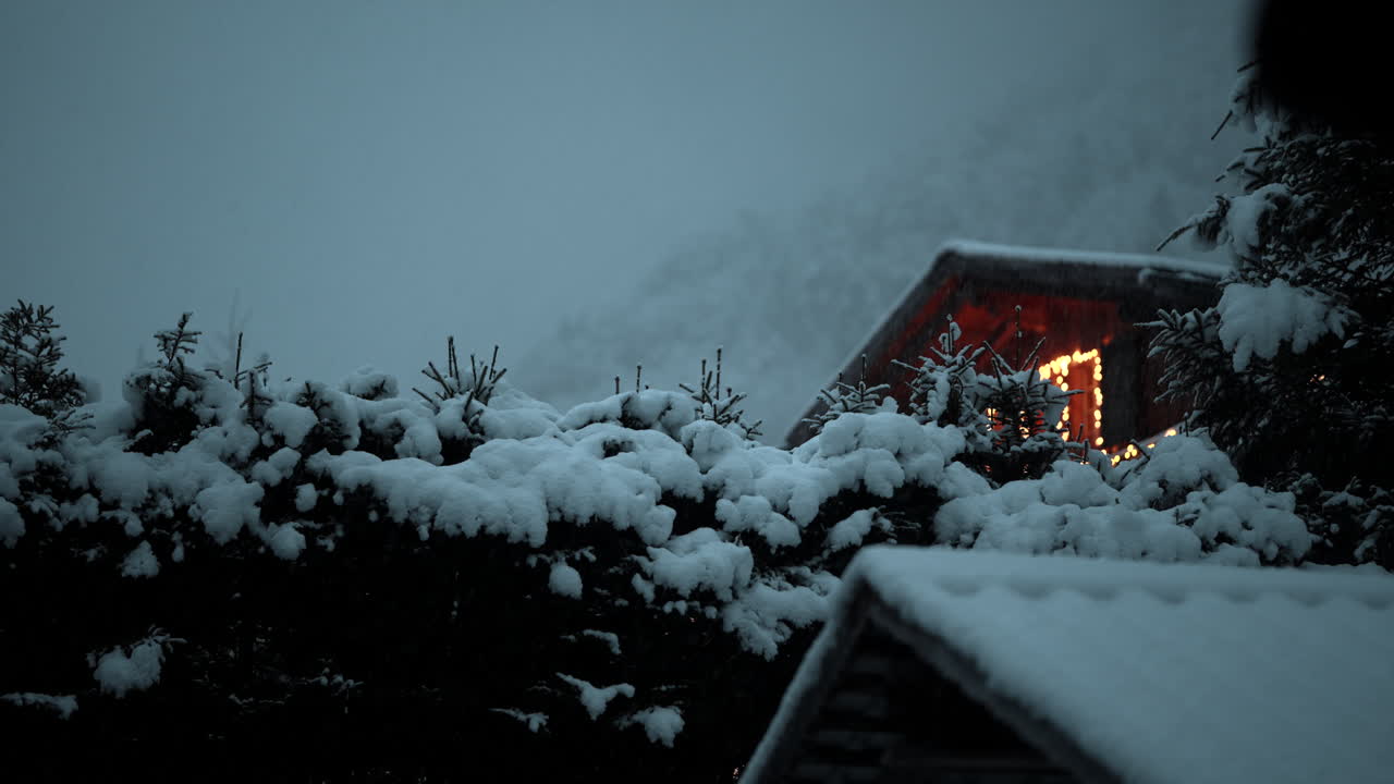 스위스 라우테르브룬의 부드러운 눈은 그림 같은 나무의 배경에서 내려오는 눈알의 우아함과 함께 평화롭고 겨울의 경이로운 나라를 구현합니다.