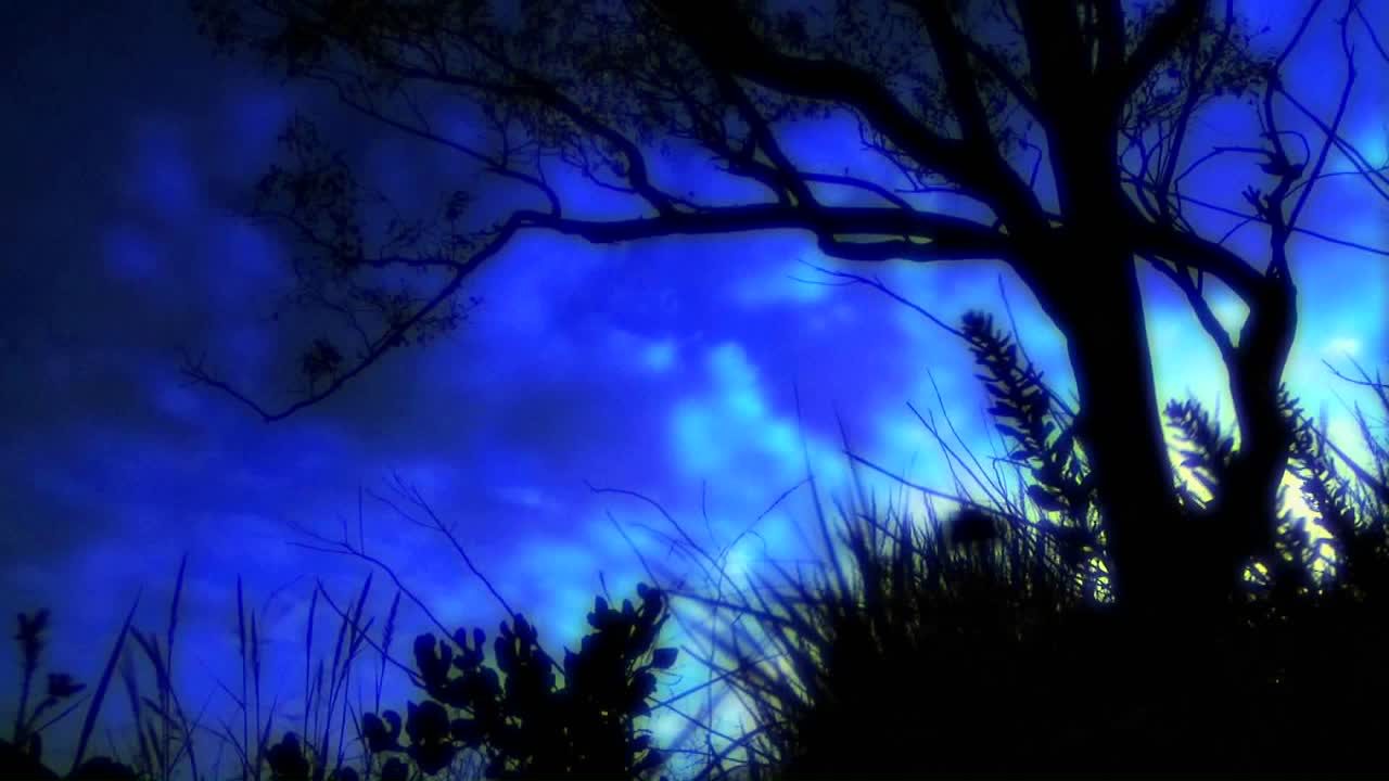 lapso de tiempo de las nubes pasando sobre la silueta de un árbol