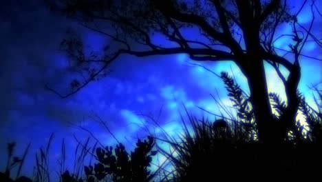 Time-lapse-of-clouds-passing-over-a-tree-silhouette-