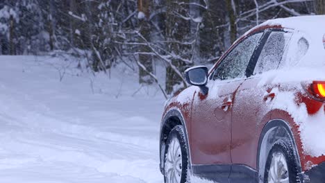 The-driver-of-the-red-car-closes-the-door-and-backs-up