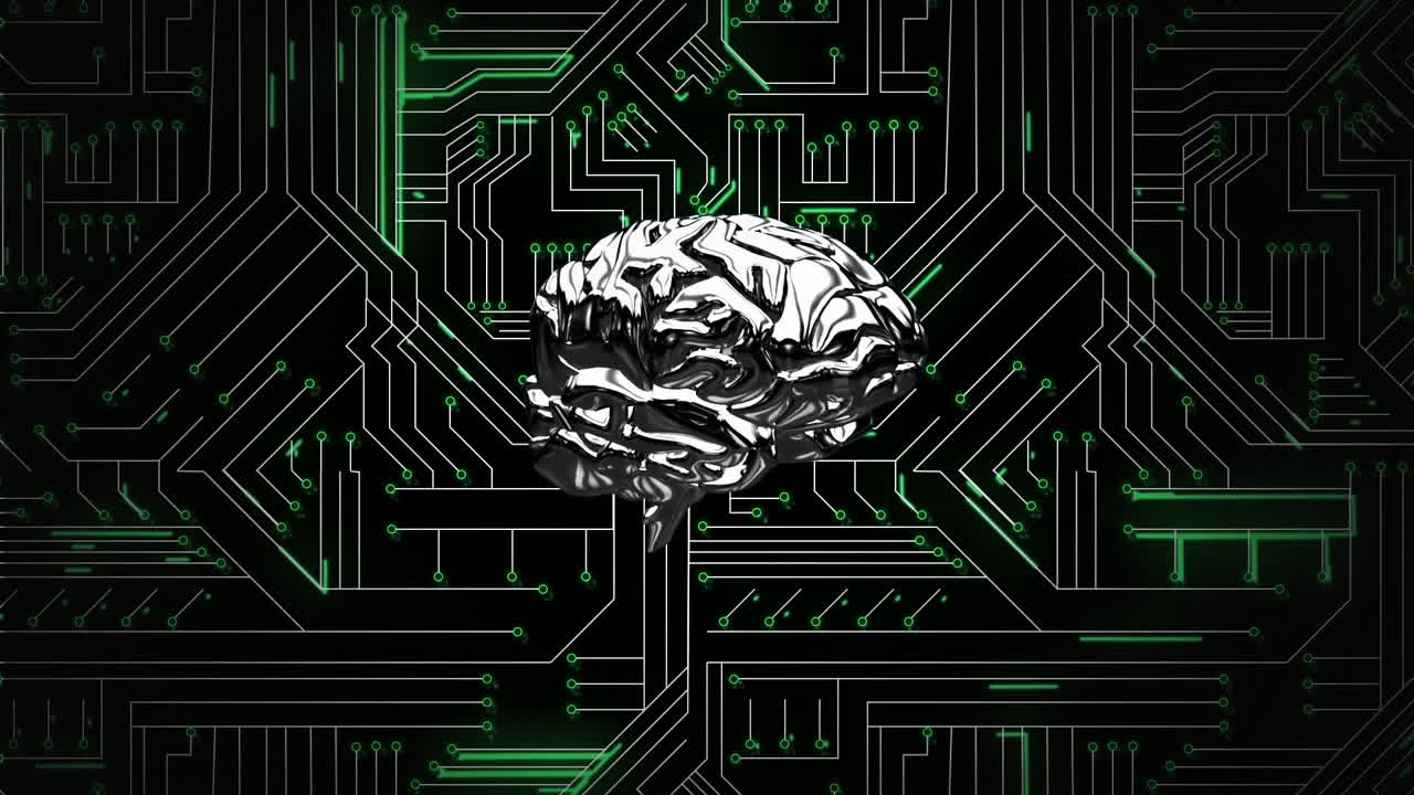 Brain and digital circuit