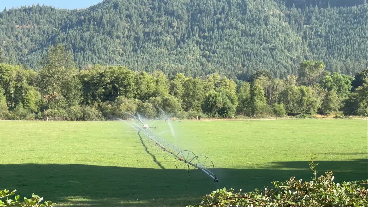 Sunny Meadows With Sprinklers Down The Forest Mountains In Oregon, USA