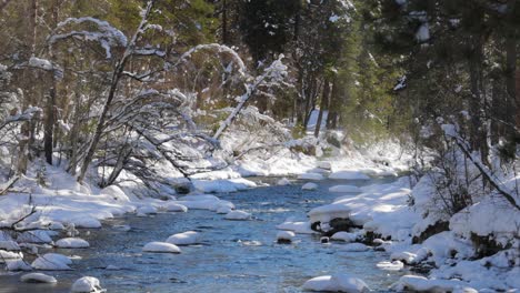 Hermoso-Bosque-De-Nieve-En-Invierno.