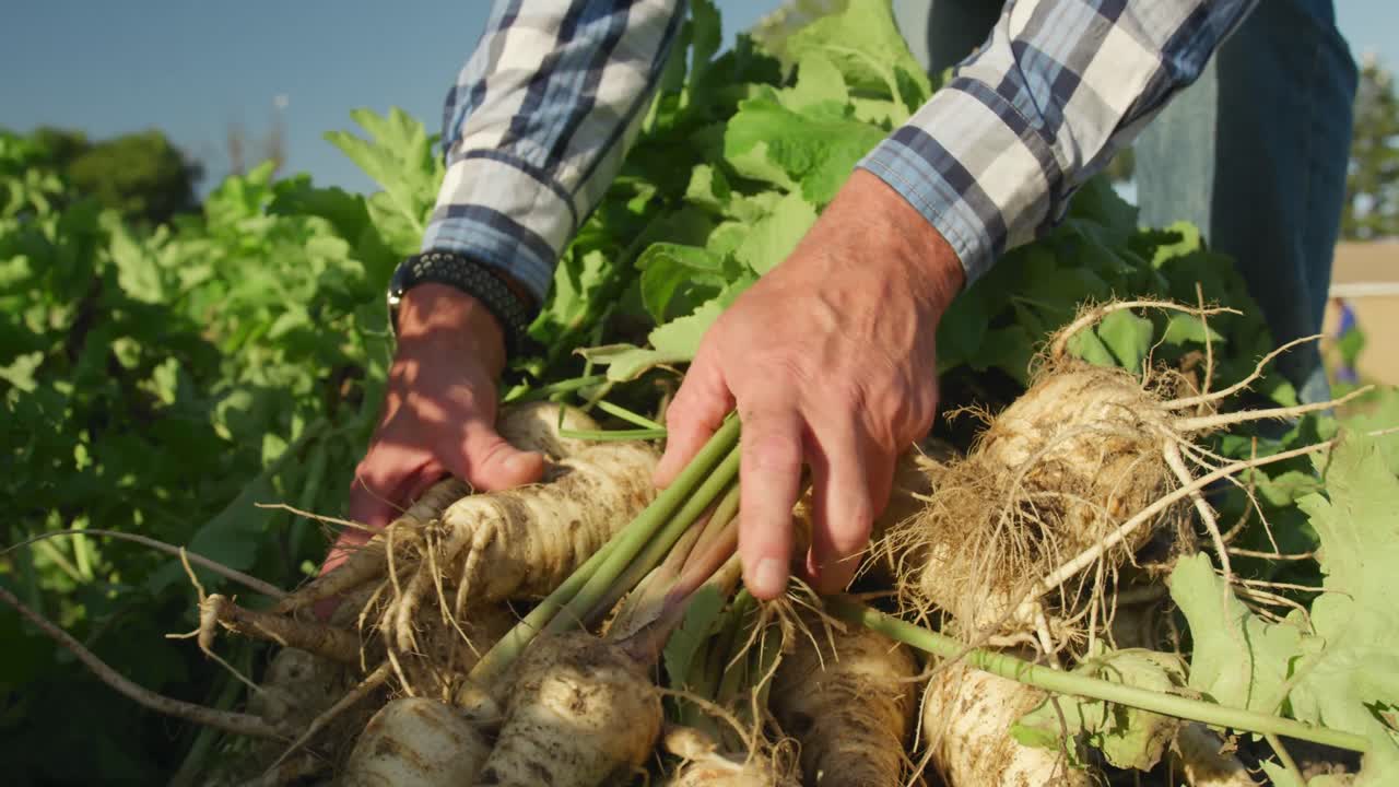 hombre maduro trabajando en una granja
