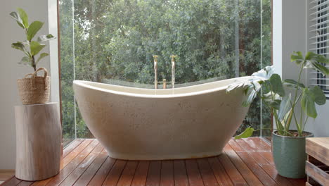 general view of bathroom with bathtub and window, slow motion