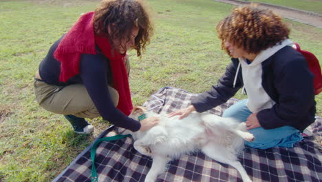 two women petting relaxed dog on green lawn in the park