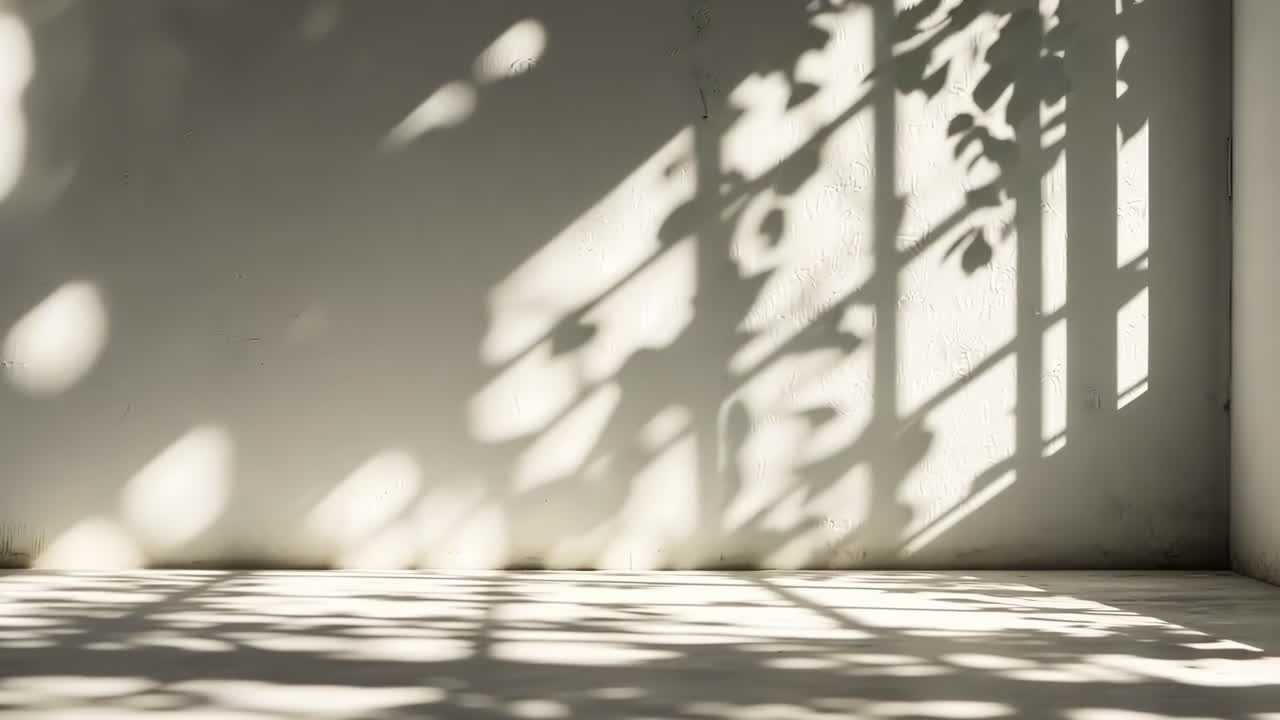 Minimalist video concept with shadows of leaves on a wall
