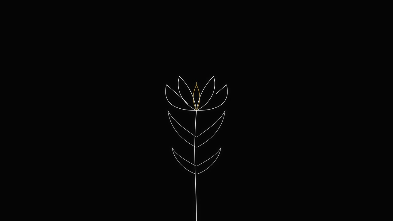 Minimalist Line Art Animation of a Growing Flower
