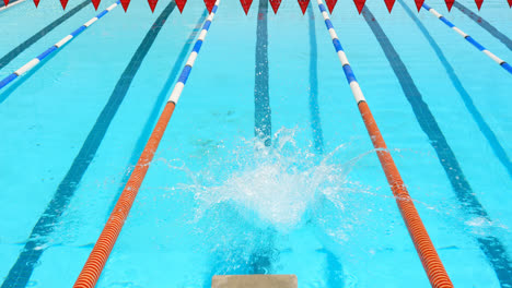 male swimmer jumping into swimming pool 4k