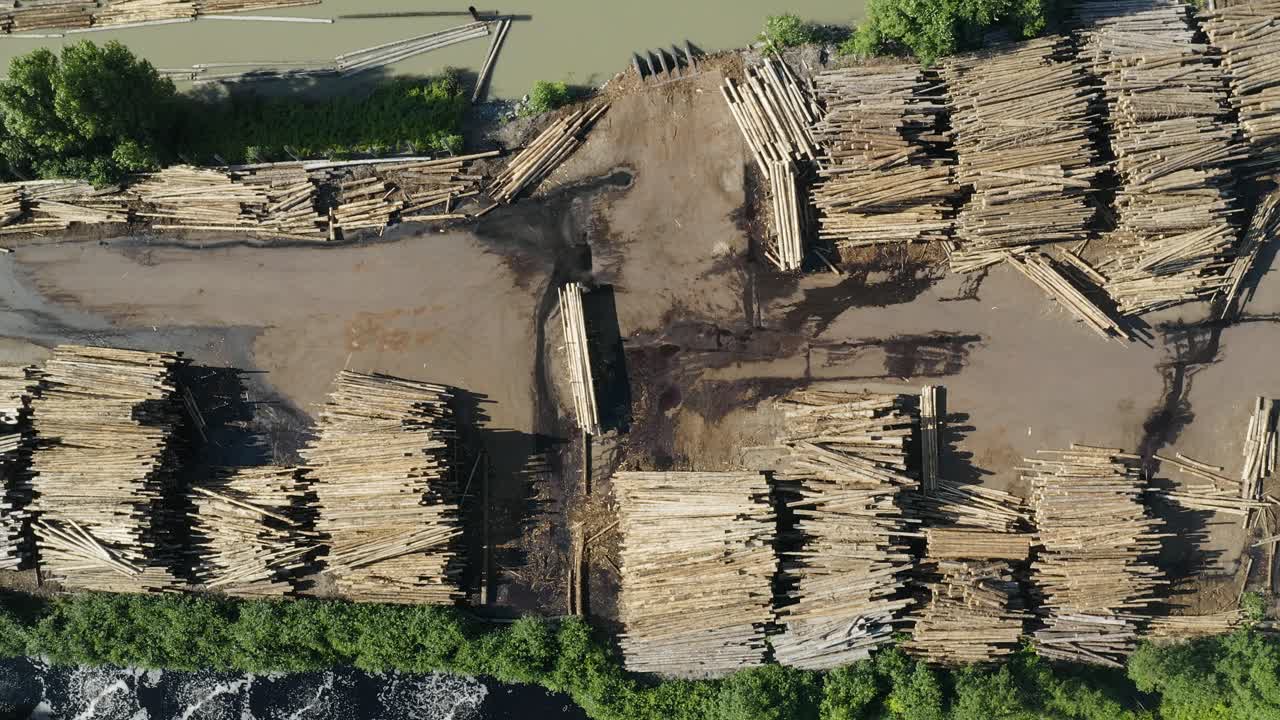 montones interminables de troncos de árboles en una fábrica maderera