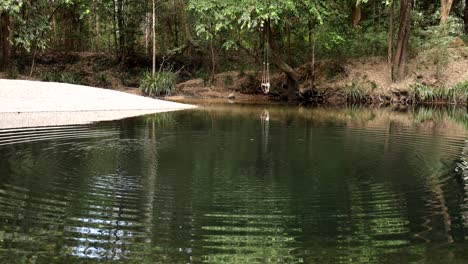 a serene pond with a concrete walkway in a forest