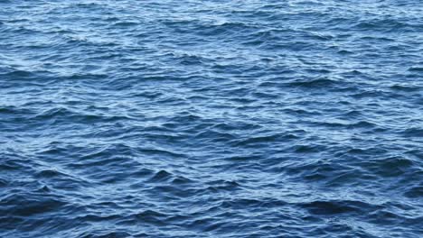 Static-shot-of-blue-water-waves-sea
