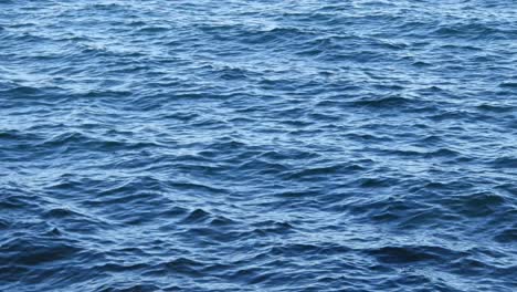 static shot of blue water waves sea