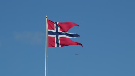mid shot of the norwegian flag flying in the wind at bergen