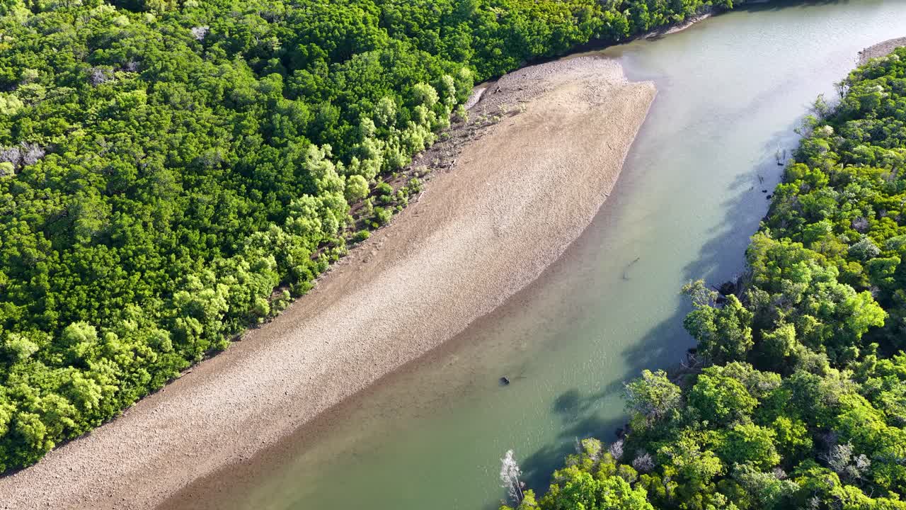 Drone footage captures a serene river winding through dense, vibrant green mangroves in Port Douglas, under bright daylight