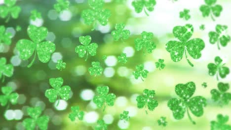 Animation-of-green-clovers-floating-for-St.-Patricks-day