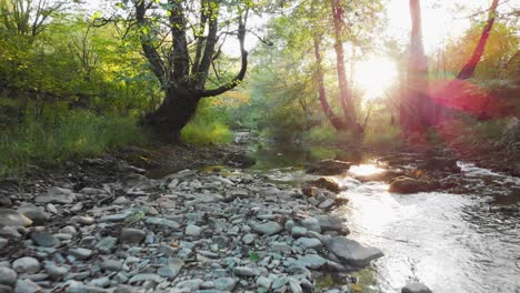 Low-drone-flight-over-small-river-at-sunset-2