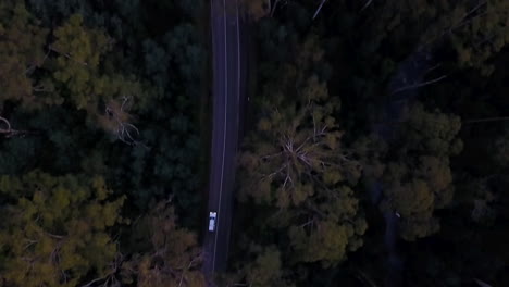 Luftaufnahmen-Von-Oben-Nach-Unten-Von-2-Autos,-Die-Eine-Dunkle,-Gruselige-Waldstraße-Hinunterfahren