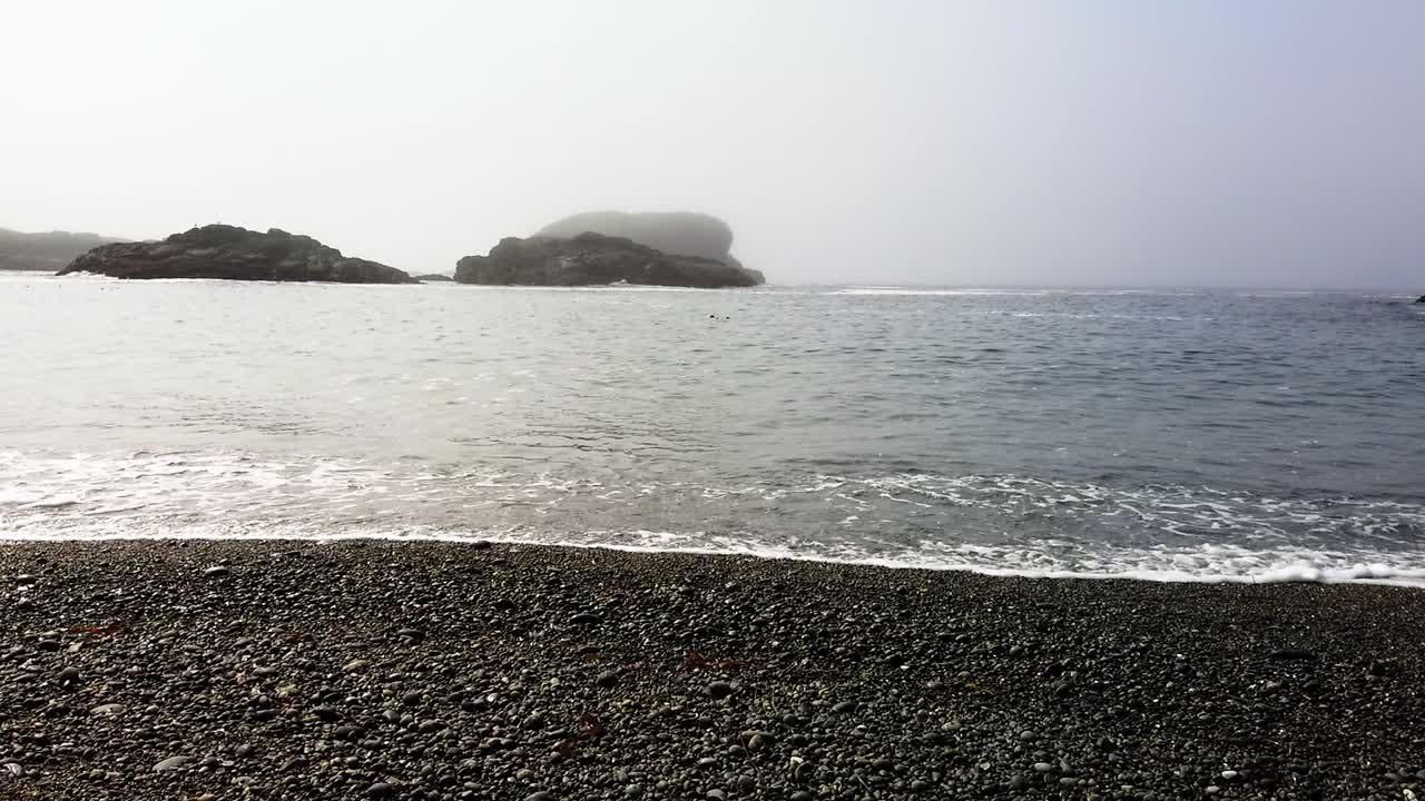 Foggy Ocean Beach with Dark Pebbles
