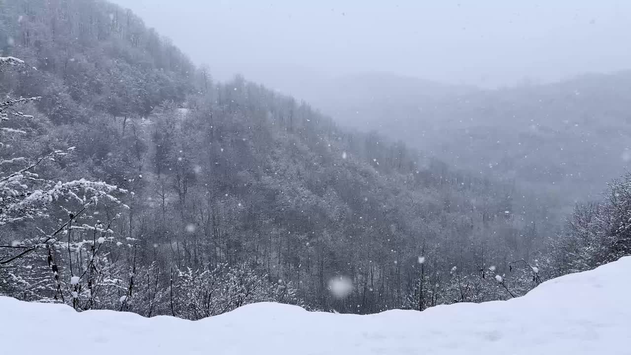 snow covered forest hills mountain landscape hyrcanian iran winter season extreme freezing cold highlands countryside beautiful day frost gilan hiking rural nature parrotia persica scenic tree nature