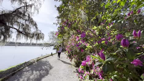 woman walks down trail with azaleas