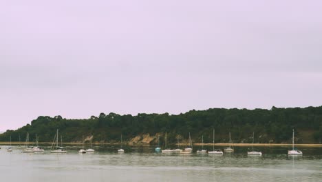 panning across moored sailing boats in early morning with overcast sky with trees covering hillside above beach near poole, dorset, uk 4k
