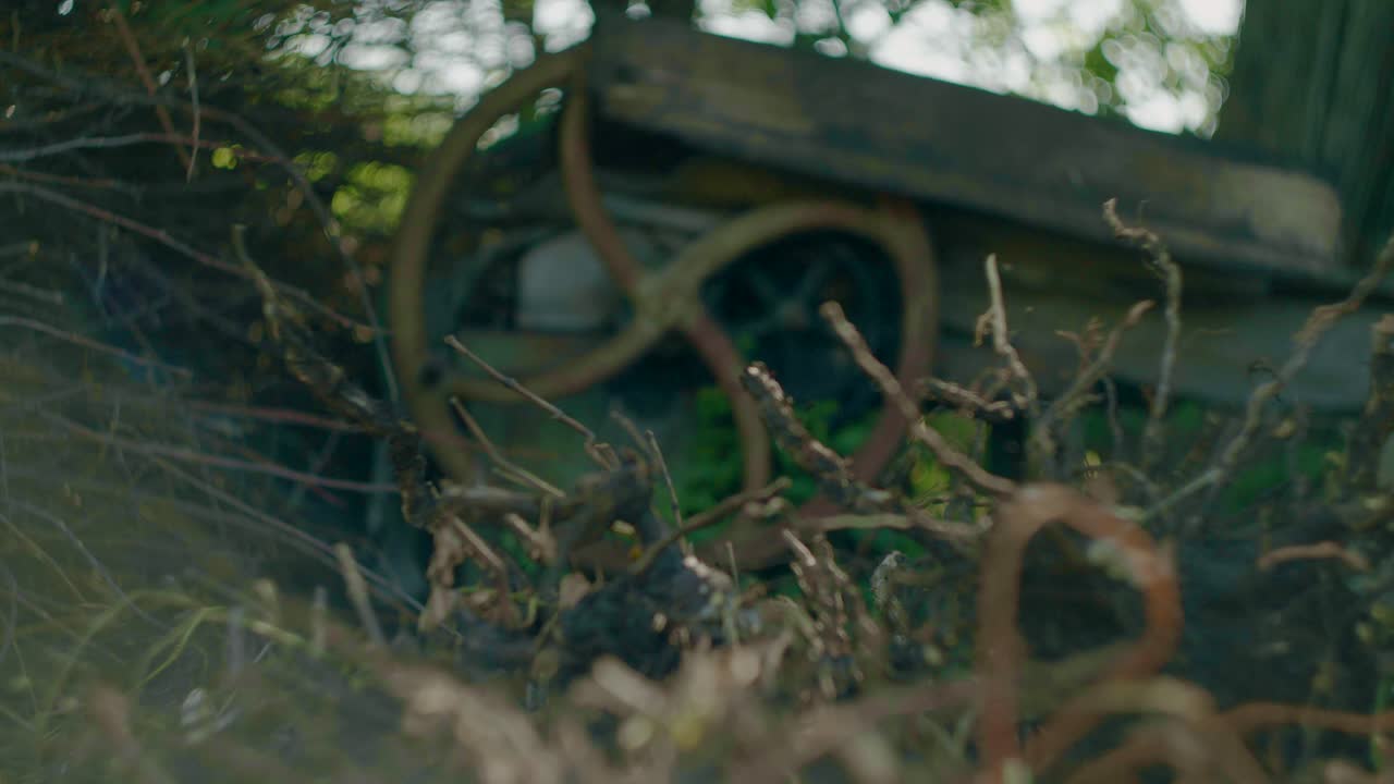 Rusted old corn processing machine in overgrown backyard, focus shift