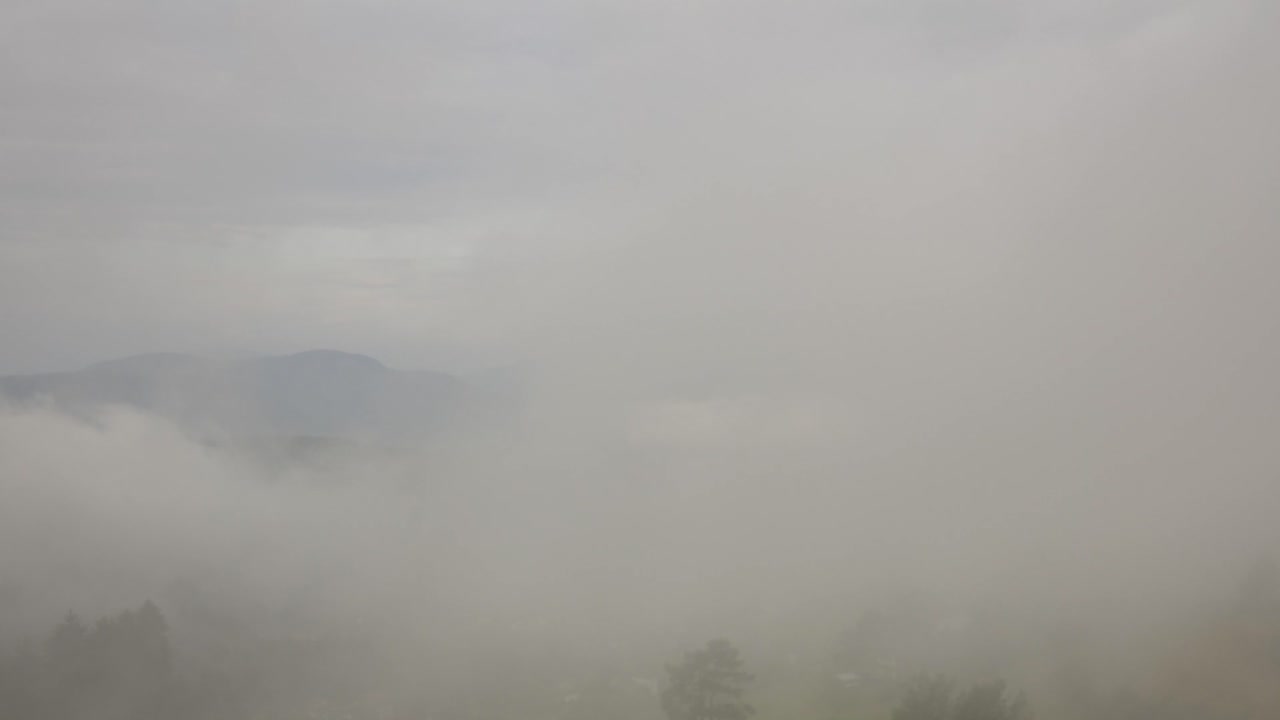 Aerial footage of a misty Italian landscape, capturing serene fog-enveloped trees under a soft, overcast sky. The peaceful atmosphere is perfect for nature and tranquility themes