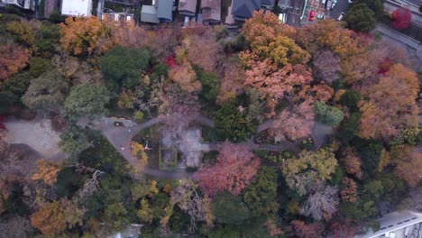 skyline aerial view in motomachi, yokohama