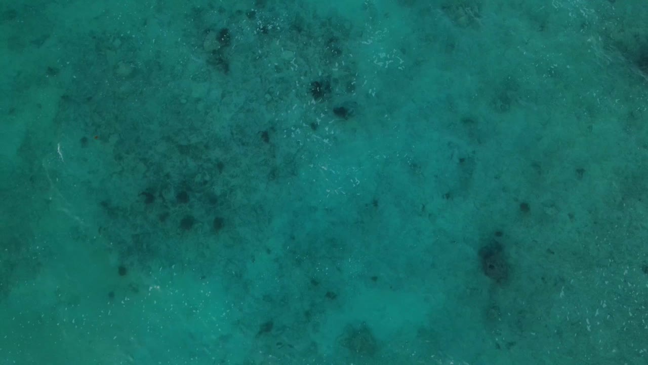 vista de alto disparo del dron del hermoso mar de agua turquesa