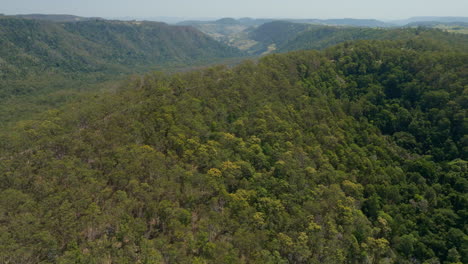 scenic green binna burra hinterland mountainscape, high level drone 4k slow motion, australia