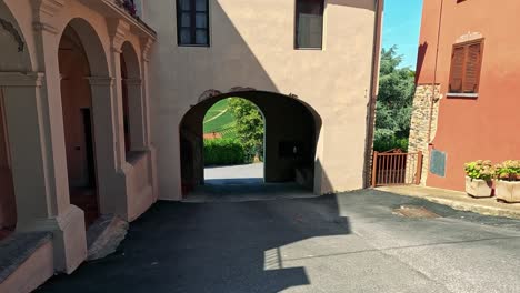 exploring a vineyard in monforte d'alba, italy