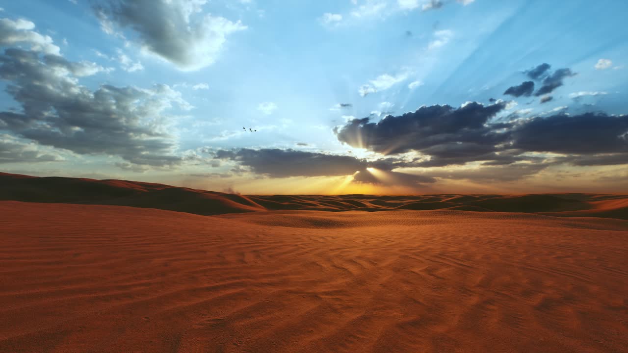 Desert Sunset