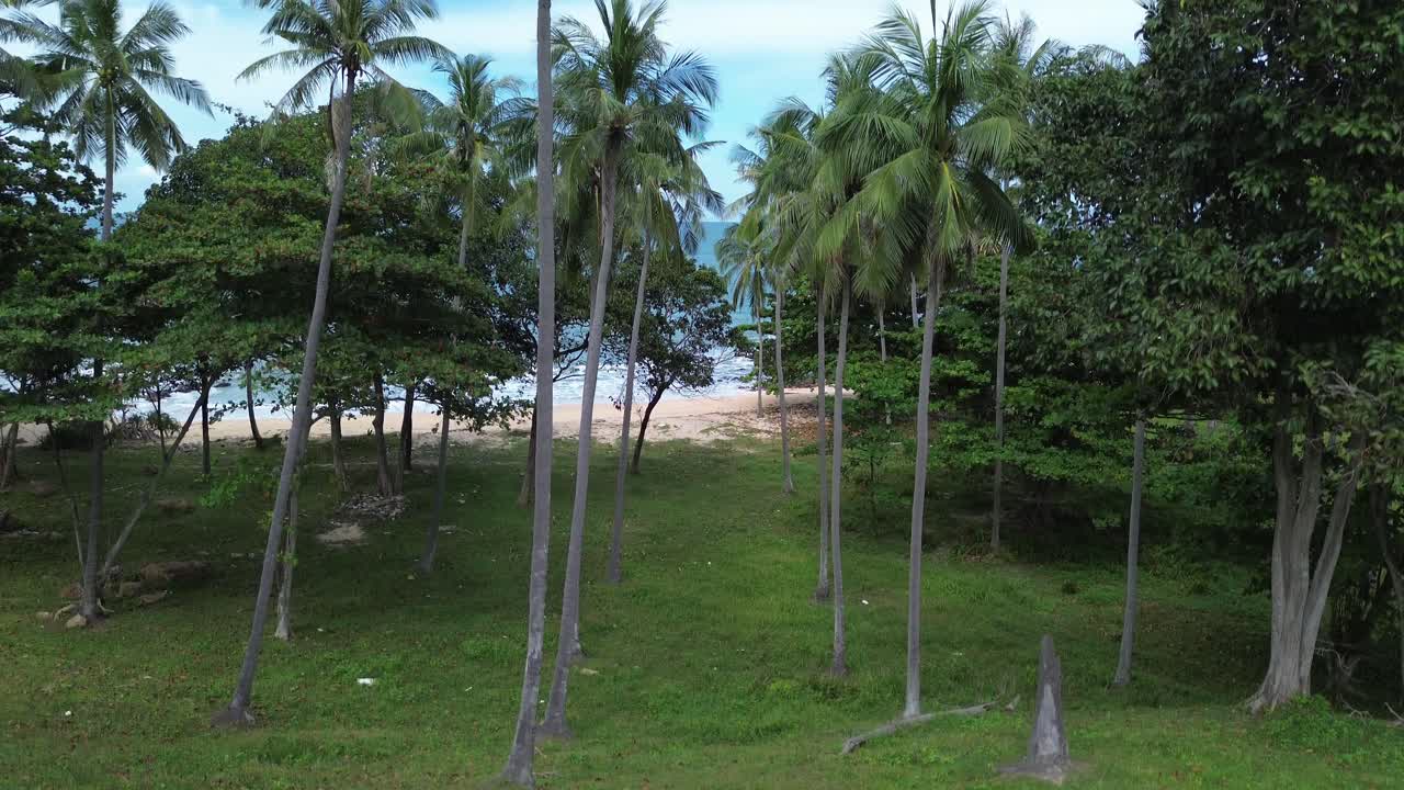 Stunning aerial drone footage gliding over palm forest on tropical paradise island, uncovering a remote sandy beach with turquoise ocean waters on Koh Lanta, Thailand. South East Asia