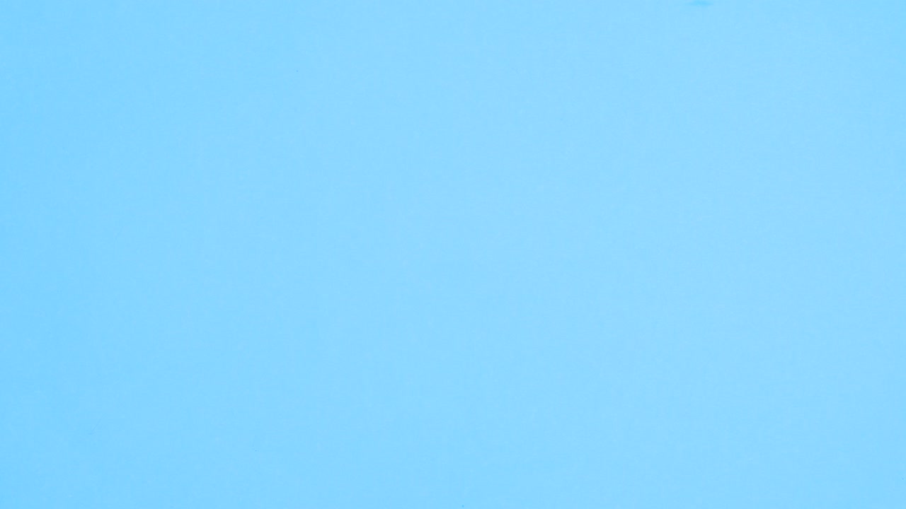 School stationery appear from backpack on blue background. Stop motion