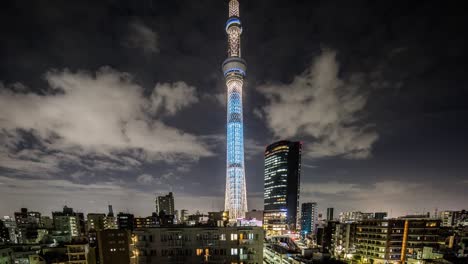 sky tree night 01