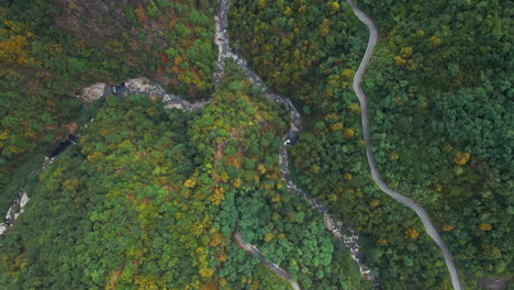 Densely-Forest-Treetops-Along-River-With-Asphalt-Road-During-Summer-In-Orobie-Alps,-Northern-Italy