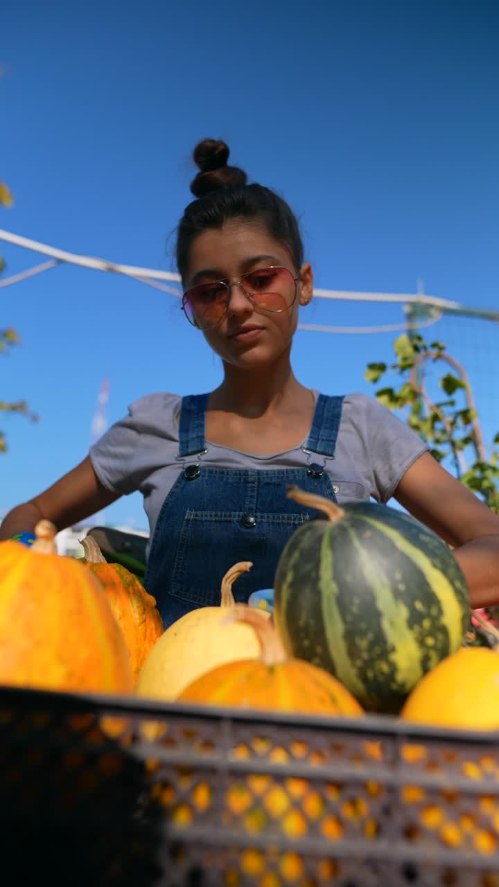 어린 여자 가 호박 과 수박 을 수확 하고 있다